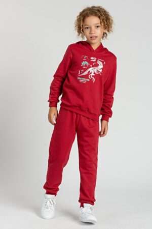 Conjunto Infantil Bordo de Moletom Dinossauro