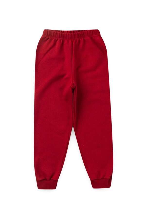 Conjunto Infantil Bordo de Moletom Dinossauro - Imagem 4
