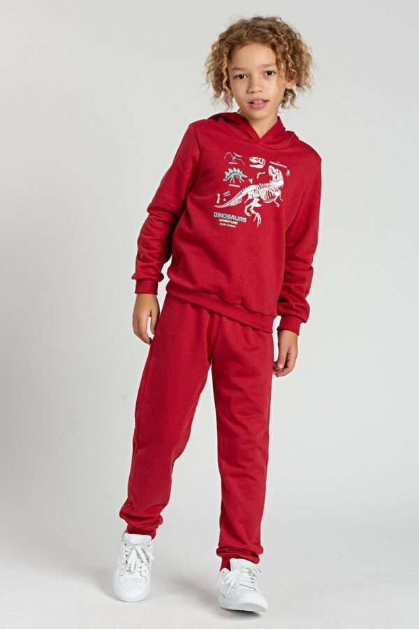 Conjunto Infantil Bordo de Moletom Dinossauro