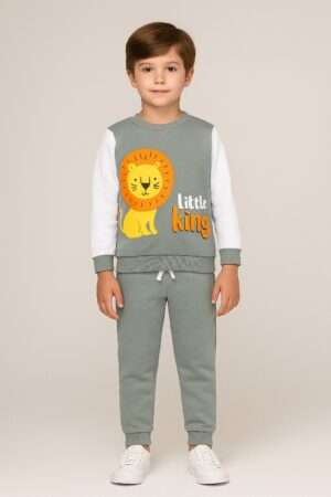 Conjunto Infantil Menino Inverno Leão Kangulu Cinza