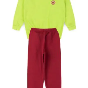 Conjunto Moletom Peluciado Infantil Masculino Verde