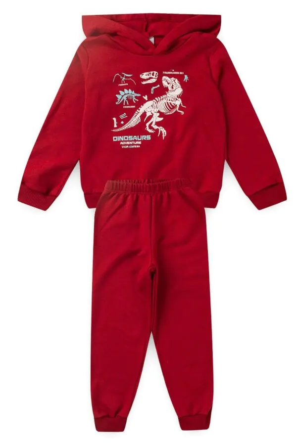 Conjunto Infantil Bordo de Moletom Dinossauro 2 - Conjunto Infantil Bordo de Moletom Dinossauro