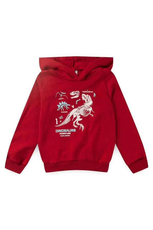 Conjunto Infantil Bordo de Moletom Dinossauro 3 - Conjunto Infantil Bordo de Moletom Dinossauro