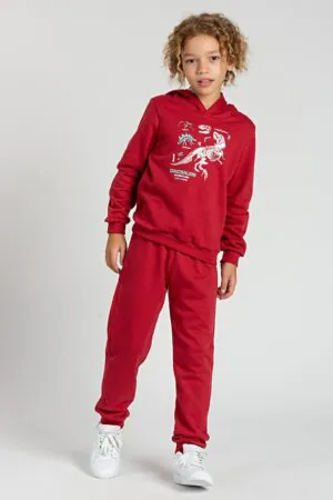 Conjunto Infantil Bordo de Moletom Dinossauro