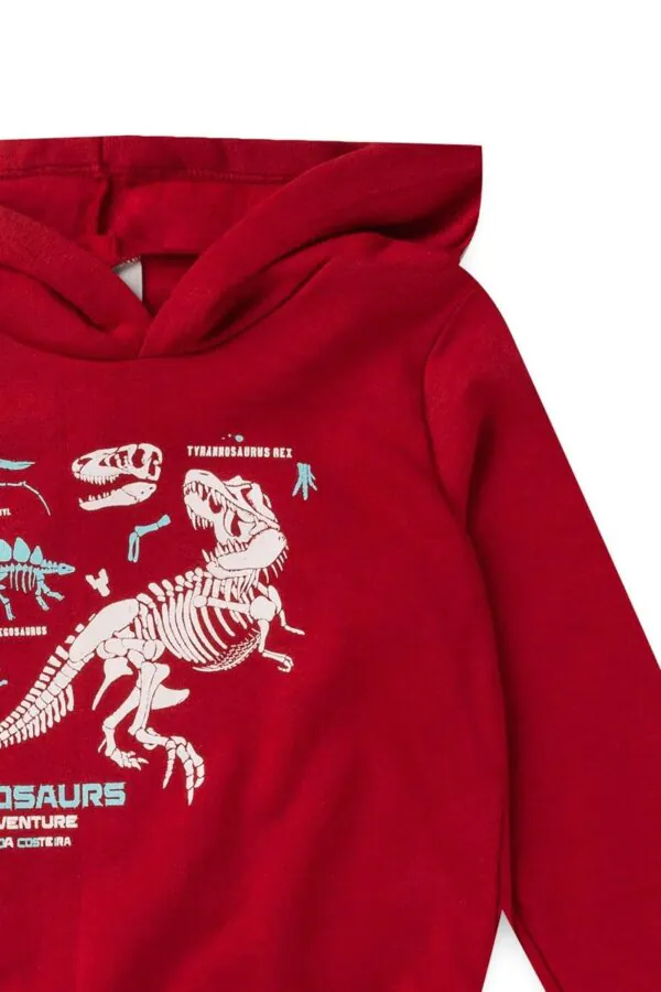 Conjunto Infantil Bordo de Moletom Dinossauro 5 - Conjunto Infantil Bordo de Moletom Dinossauro